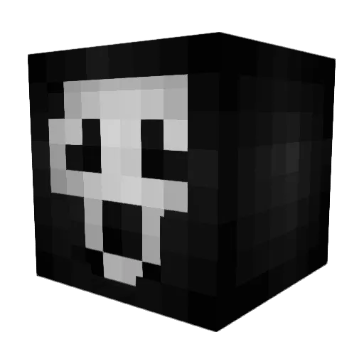 TEXAS_BOY_ Minecraft avatar head, 3D render