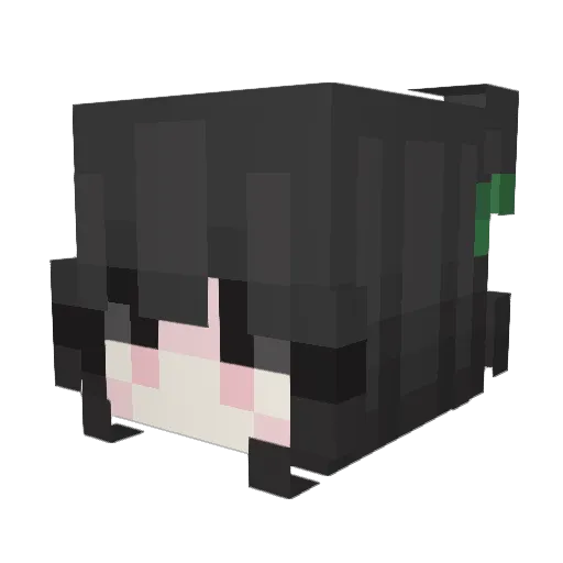 TE_QingJiu Minecraft avatar head, 3D render