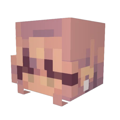 TEvah10 Minecraft avatar head, 3D render