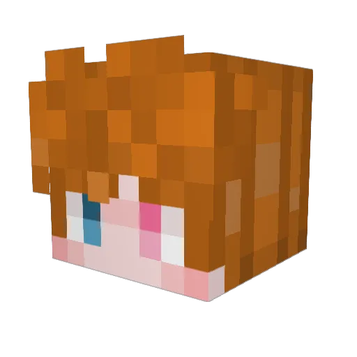 TFIT_Duck Minecraft avatar head, 3D render