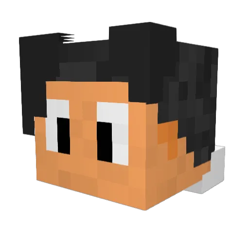 TFKOM Minecraft avatar head, 3D render