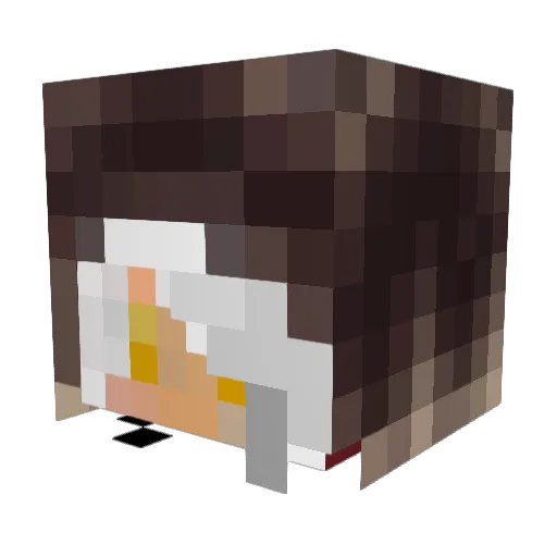 TFLH_ Minecraft avatar head, 3D render