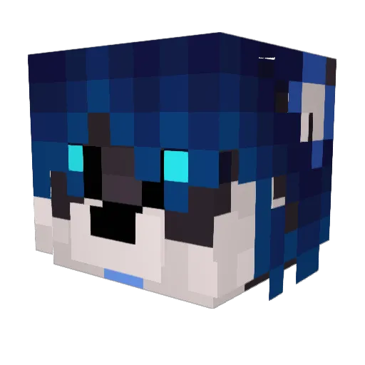 TFNeroj Minecraft avatar head, 3D render