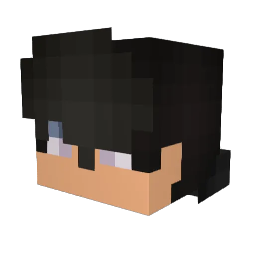 TFS_SMILEY Minecraft avatar head, 3D render