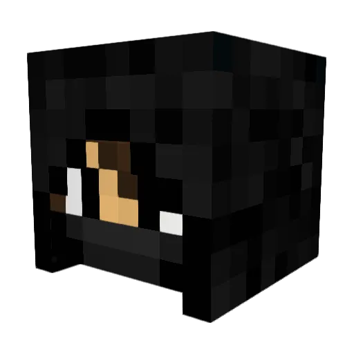 TGAlstom Minecraft avatar head, 3D render