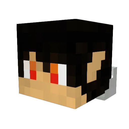 TGDPlays Minecraft avatar head, 3D render