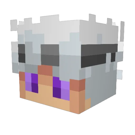 TGNArmy Minecraft avatar head, 3D render