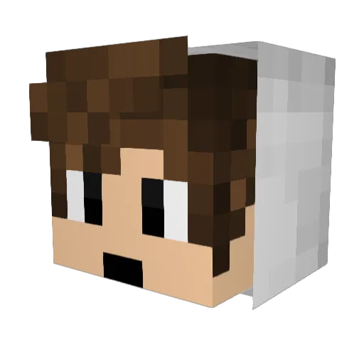 TGNBW Minecraft avatar head, 3D render
