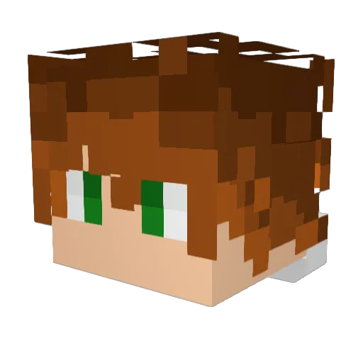 TGNL Minecraft avatar head, 3D render
