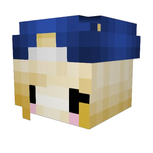 TGPitcher15 Minecraft avatar head, 3D render
