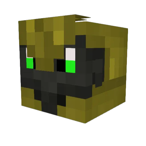 TGSRaptor Minecraft avatar head, 3D render