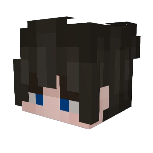 TGWA9 Minecraft avatar head, 3D render