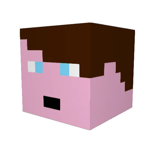 TGWO2000 Minecraft avatar head, 3D render