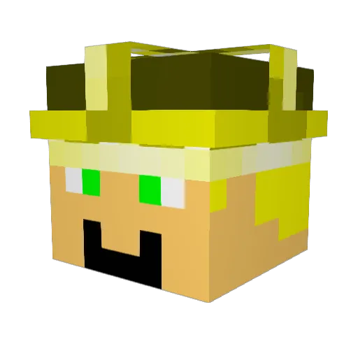 TG_2011 Minecraft avatar head, 3D render