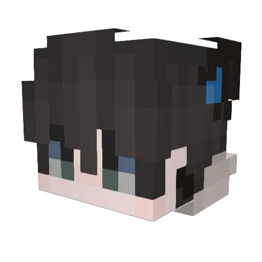 TG_Dev2 Minecraft avatar head, 3D render