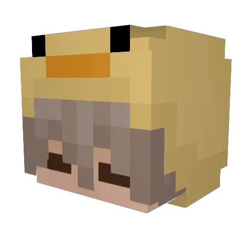 TG_Lander Minecraft avatar head, 3D render
