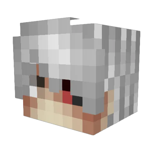 TG_Leager Minecraft avatar head, 3D render