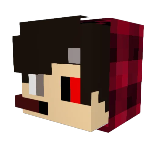 TGamer460 Minecraft avatar head, 3D render