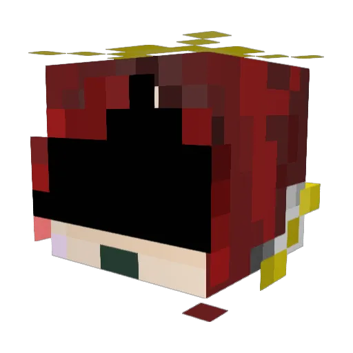 TGamerJG Minecraft avatar head, 3D render