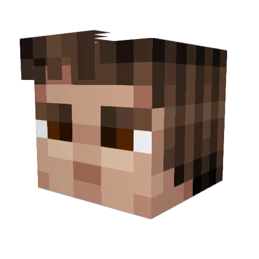 TGphoto Minecraft avatar head, 3D render