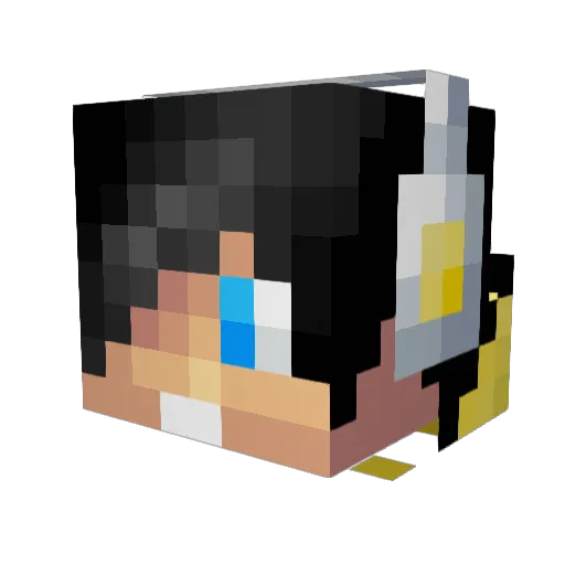 TH3ORY23 Minecraft avatar head, 3D render