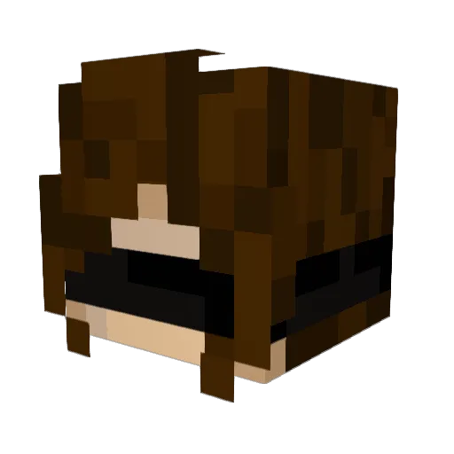 TH3_C0LL3CT0R Minecraft avatar head, 3D render