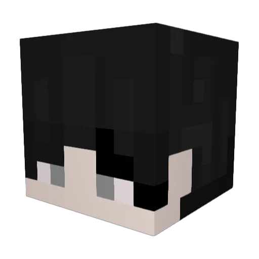 TH3_SWARM Minecraft avatar head, 3D render