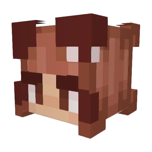THCjoint Minecraft avatar head, 3D render