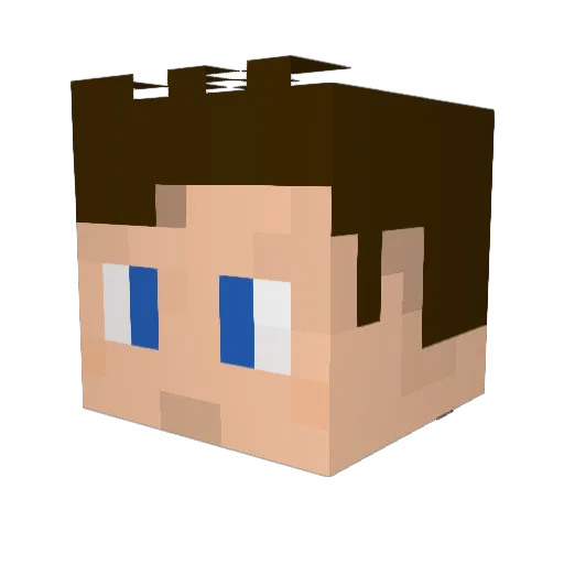 THE19Doctor Minecraft avatar head, 3D render