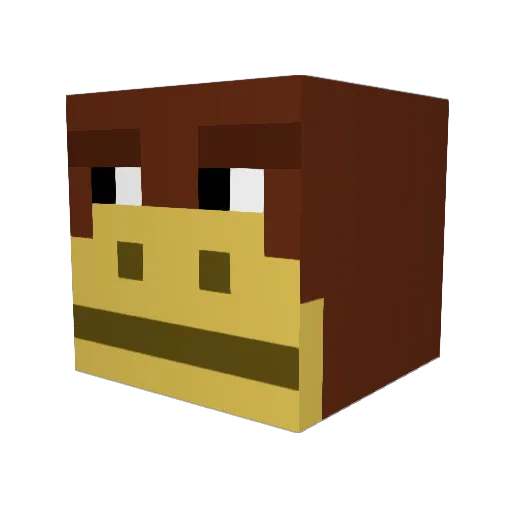 THEASAINSNIPER Minecraft avatar head, 3D render