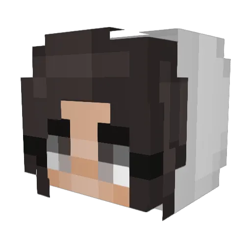THEBeautyQueen1 Minecraft avatar head, 3D render