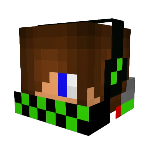 THECOOLKID911 Minecraft avatar head, 3D render