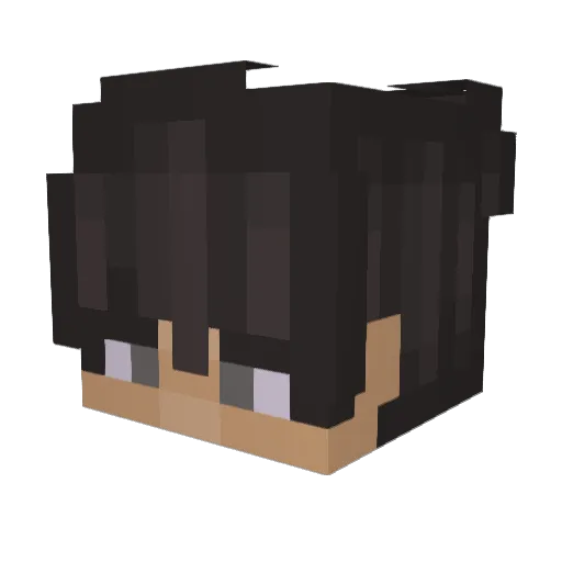THEDark26 Minecraft avatar head, 3D render