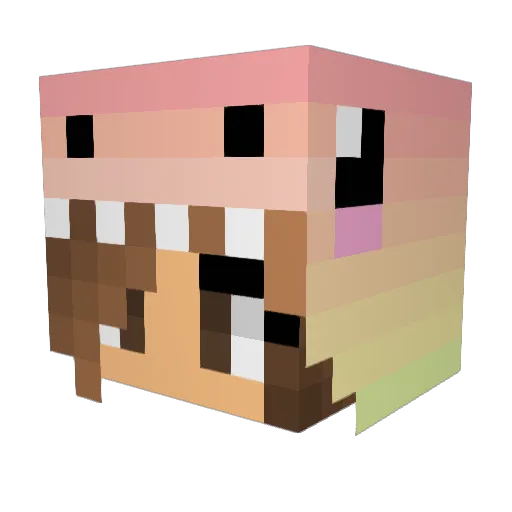 THEHANNHANNN Minecraft avatar head, 3D render