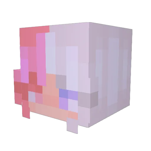 THEKRAZYKITTEN Minecraft avatar head, 3D render