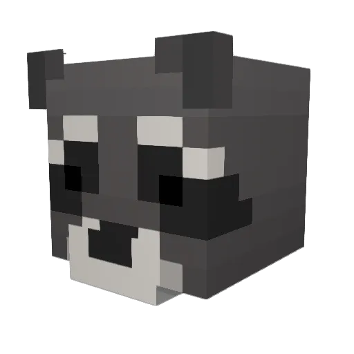 THELEG3ND204 Minecraft avatar head, 3D render