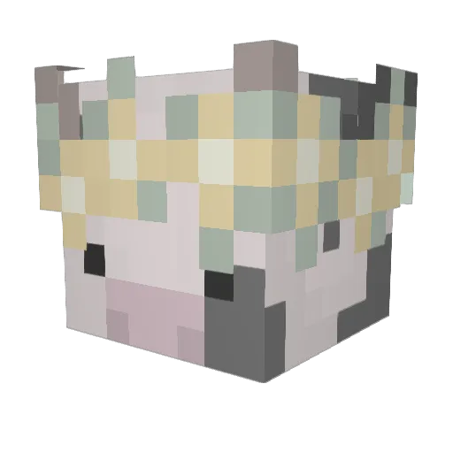 THEMACHINE69420 Minecraft avatar head, 3D render