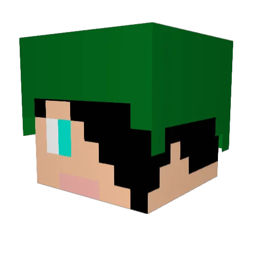THENINJA1245 Minecraft avatar head, 3D render