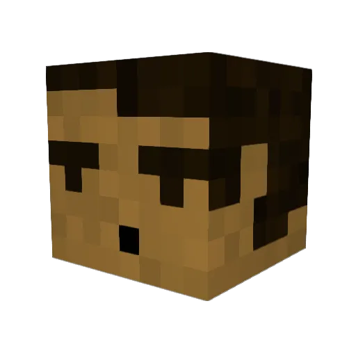 THEQUICKFLIP Minecraft avatar head, 3D render