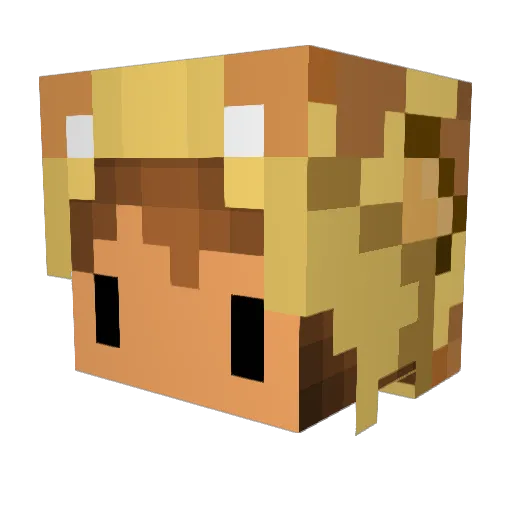 THERAINBRO Minecraft avatar head, 3D render