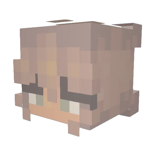 THESQUADFAN09 Minecraft avatar head, 3D render