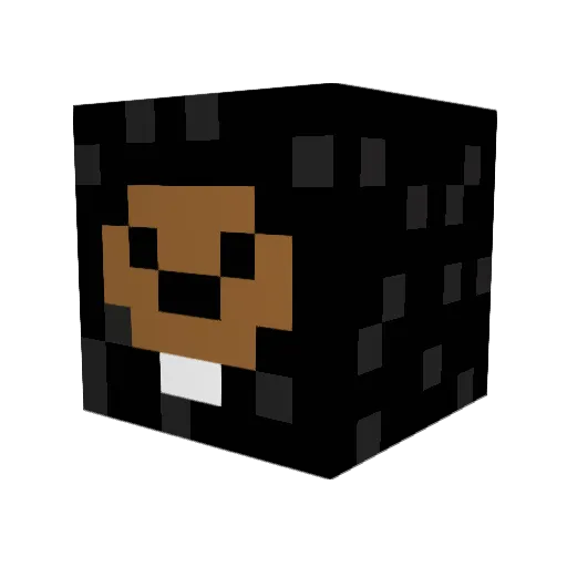 THESQUIRRELNINJA Minecraft avatar head, 3D render