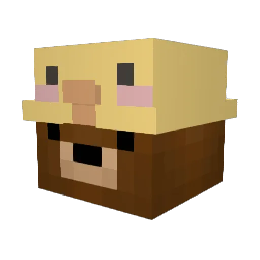 THETurtleDog Minecraft avatar head, 3D render