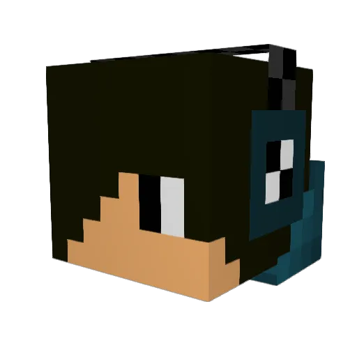 THE_DMAN24 Minecraft avatar head, 3D render