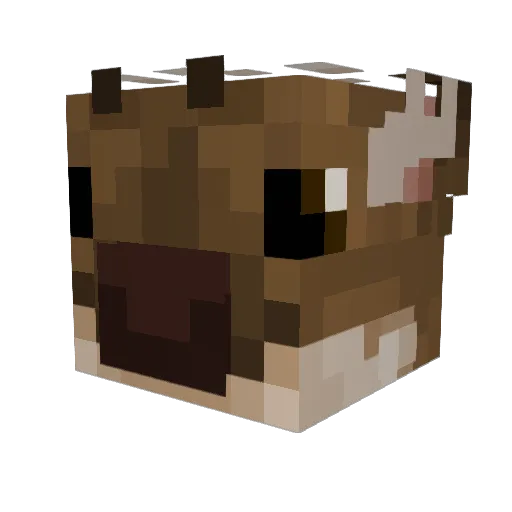 THE_FavoriteFool Minecraft avatar head, 3D render