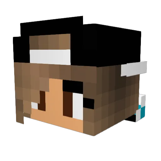 THE_GAMERCHIELD Minecraft avatar head, 3D render