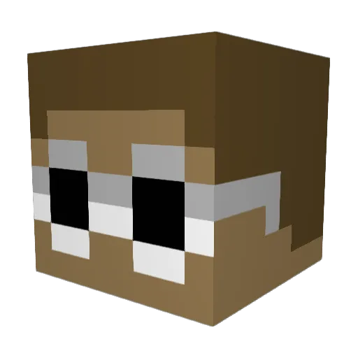 THE_PANDYY Minecraft avatar head, 3D render