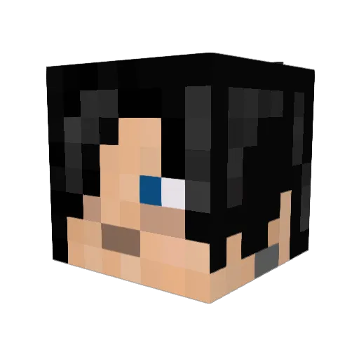THE_REV_1502 Minecraft avatar head, 3D render