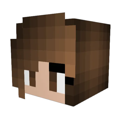 THE_SLAYER1 Minecraft avatar head, 3D render
