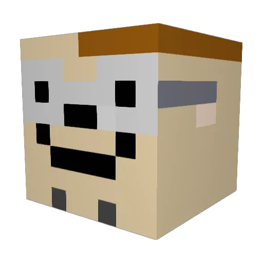 THE__Adamizer Minecraft avatar head, 3D render